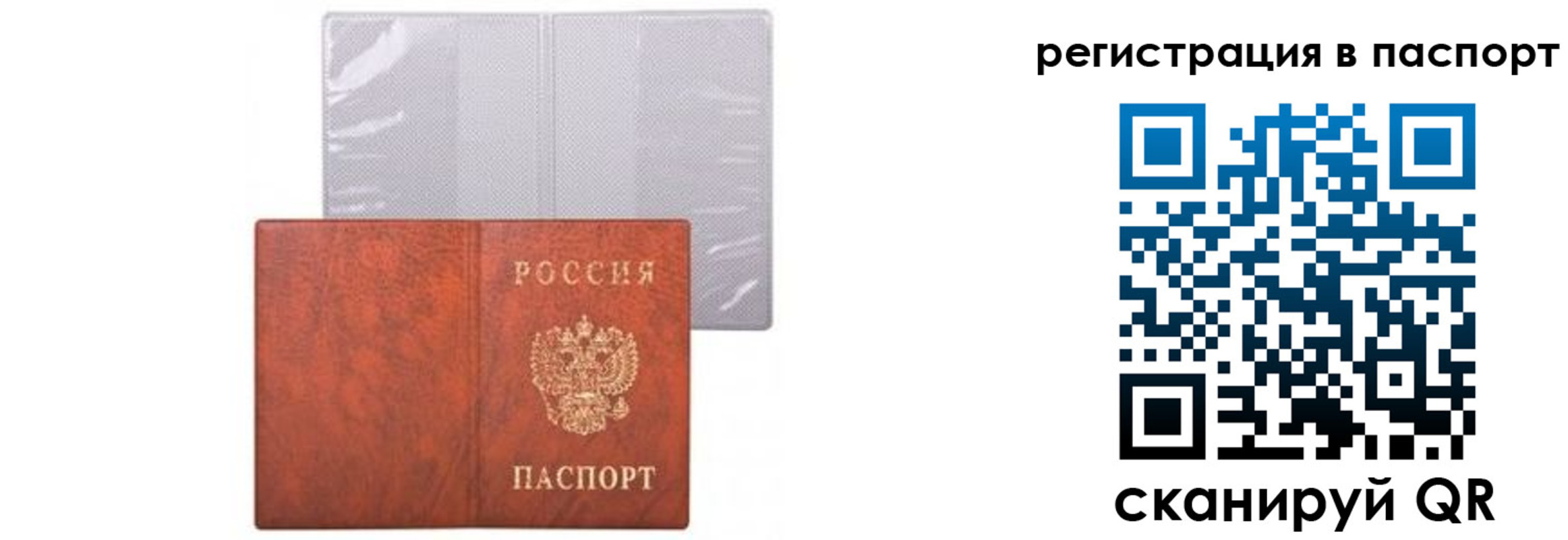 прописка ребенка в Камчатской области